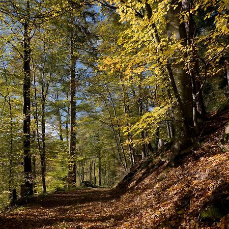 Haus Zur Bienenweide Daire Schömberg Dış mekan fotoğraf