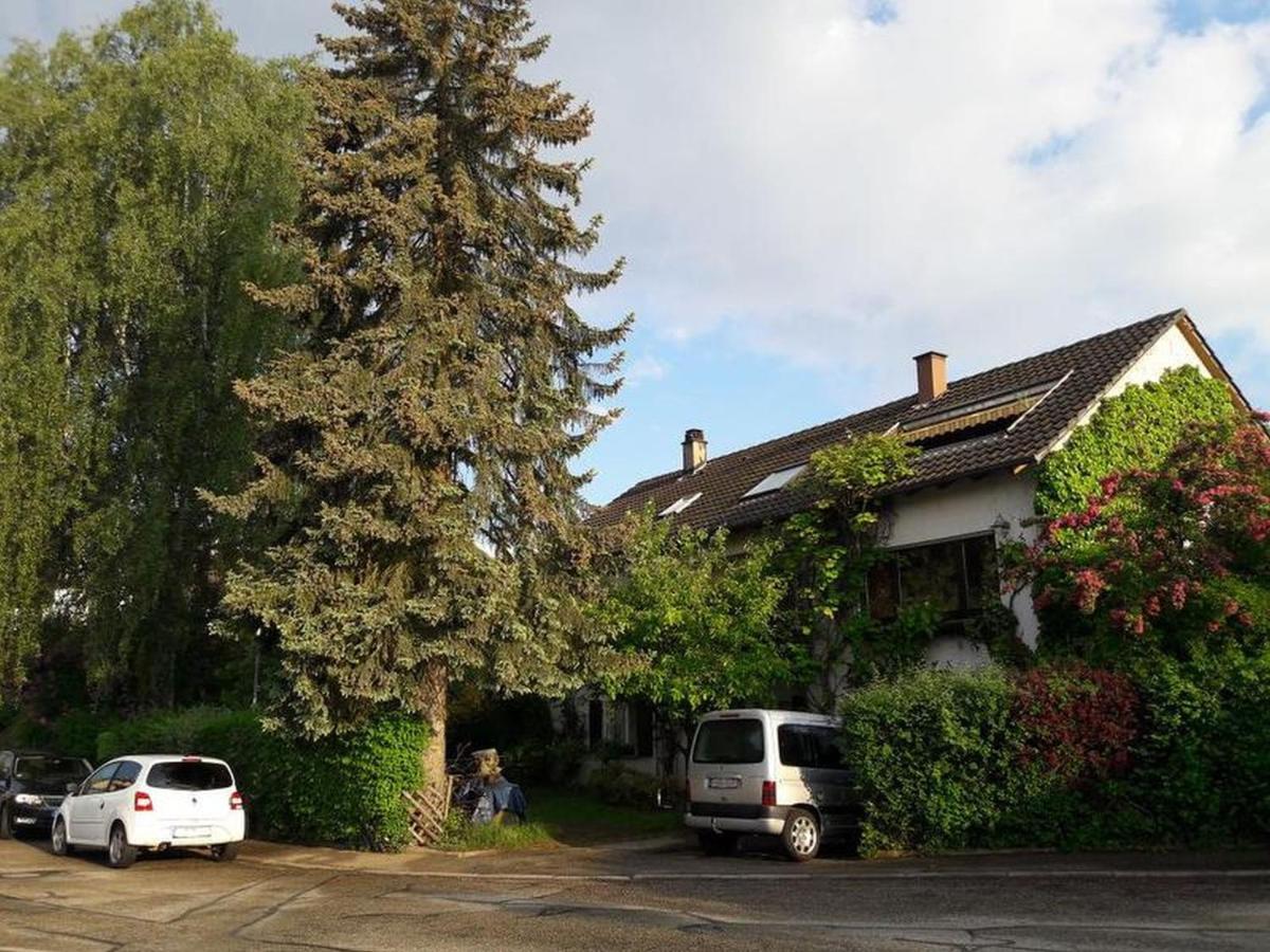 Haus Zur Bienenweide Daire Schömberg Dış mekan fotoğraf