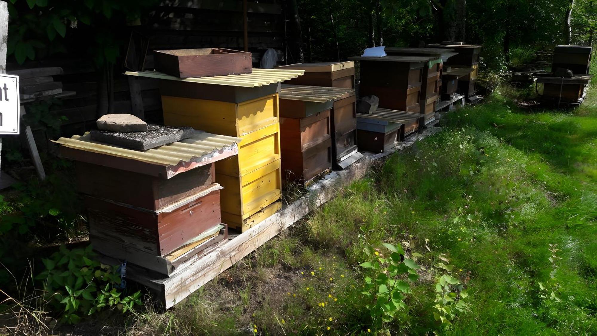 Haus Zur Bienenweide Daire Schömberg Dış mekan fotoğraf