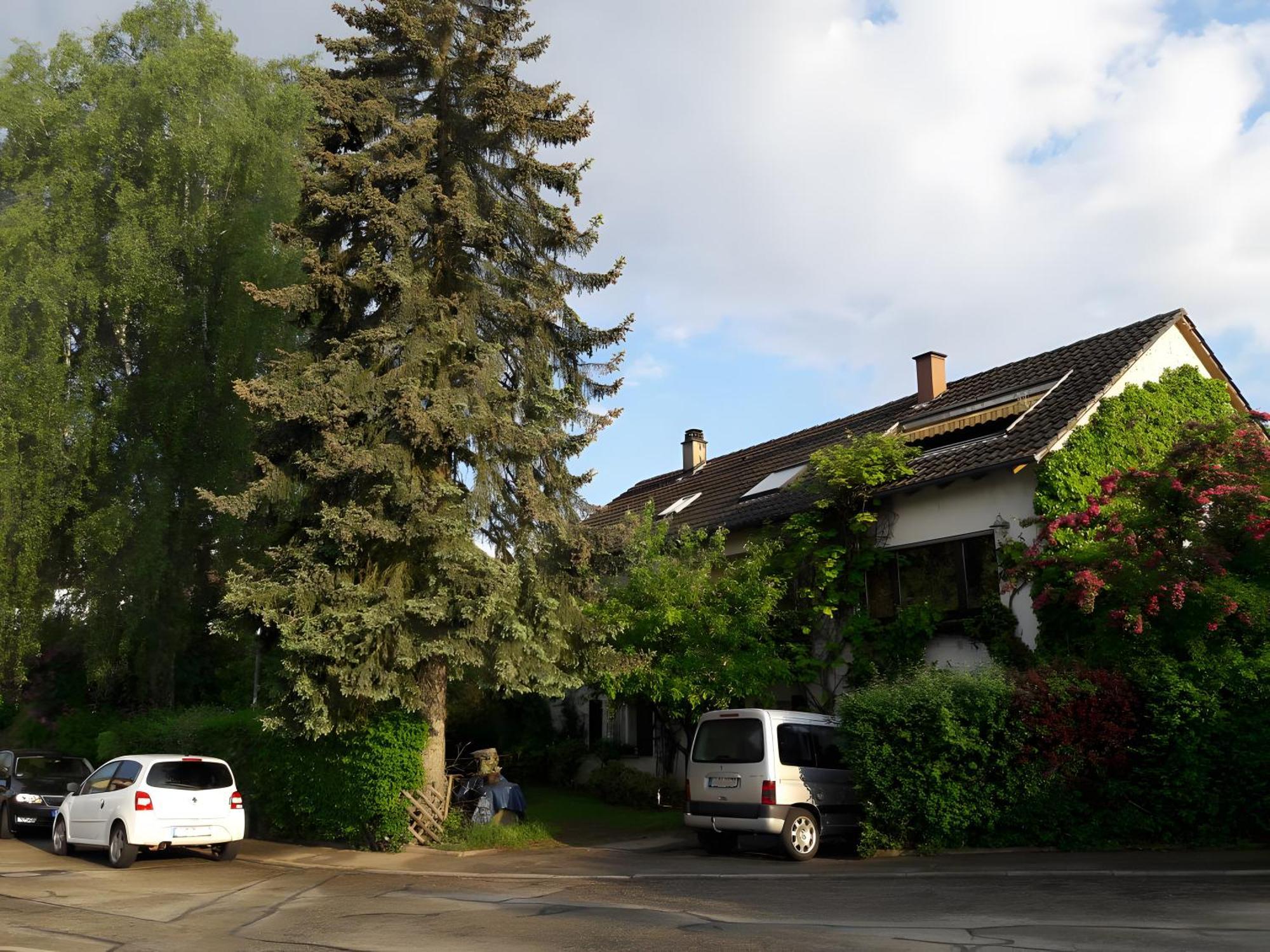 Haus Zur Bienenweide Daire Schömberg Dış mekan fotoğraf